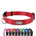 Basic Dog Collar for Small Dogs &amp; Puppies, Adjustable Nylon, Red,S