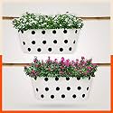Bathla - ARA Hanging Metal Pot Holders/Planters for Balcony/Garden Corrosion Resistant with Detachable Double Hooks, White -Set of 2