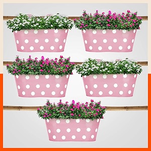 bathla patio ara hanging corrosion resistant metal pot holdersplanters with detachable double hooks  blush -set of 5 standard