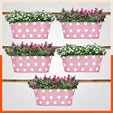 Bathla Patio ARA Hanging Corrosion Resistant Metal Pot Holders/Planters with Detachable Double Hooks | Blush -Set of 5, Standard