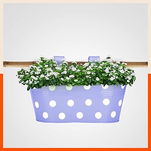 bathla patio ara hanging metal pot holdersplanters for balconygarden corrosion resistant with detachable double hooks  lavender standard php-op-311514lr