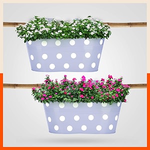 bathla patio ara hanging metal pot holdersplanters for balconygarden corrosion resistant with detachable double hooks  baby blue - set of 2 standard php-op-311514bb-s2
