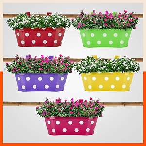 bathla patio ara hanging metal pot holdersplanters for homebalconygarden  corrosion resistant with detachable double hooks  set of 5 multicolour