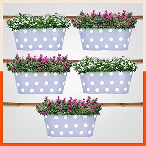 bathla patio ara hanging metal pot holdersplanters for balconygarden corrosion resistant with detachable double hooks  baby blue - set of 5 standard php-op-311514bb-s5