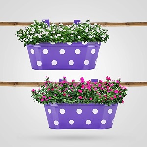 bathla patio ara hanging metal pot holdersplanters for homebalconygarden  corrosion resistant with detachable double hooks  set of 2 - purple