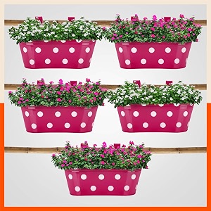 patio by bathla - ara hanging metal pot holders for balconygarden  corrosion resistant with detachable double hooks  set of 5 - pink