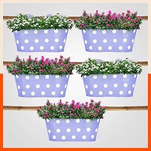 bathla patio ara hanging metal pot holdersplanters for homebalconygarden corrosion resistant with detachable double hooks  lavender - set of 5