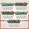 Bathla Patio ARA Hanging Metal Pot Holders/Planters for Home/Balcony/Garden |Corrosion Resistant with Detachable Double Hooks | White -Set of 5