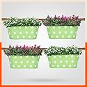 Bathla Patio ARA Hanging Metal Pot Holders/Planters for Home/Balcony/Garden |Corrosion Resistant with Detachable Double Hooks | Grass - Set of 4