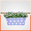 Bathla Patio ARA Hanging Metal Pot Holders/Planters for Balcony/Garden |Corrosion Resistant with Detachable Double Hooks | Lavender, Standard (PHP-OP-311514LR)