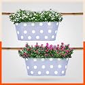 Bathla Patio ARA Hanging Metal Pot Holders/Planters for Balcony/Garden |Corrosion Resistant with Detachable Double Hooks | Baby Blue - Set of 2, Standard (PHP-OP-311514BB-S2)