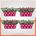 Bathla Patio ARA Hanging Metal Pot Holders/Planters for Home/Balcony/Garden | Corrosion Resistant with Detachable Double Hooks | Set of 4 - Pink