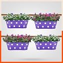 Bathla Patio ARA Hanging Metal Pot Holders/Planters for Home/Balcony/Garden | Corrosion Resistant with Detachable Double Hooks | Set of 4 - Purple