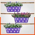 Bathla Patio ARA Hanging Metal Pot Holders/Planters for Home/Balcony/Garden | Corrosion Resistant with Detachable Double Hooks | Set of 3 - Purple
