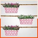 Bathla Patio ARA Hanging Metal Pot Holders/Planters for Balcony/Garden |Corrosion Resistant with Detachable Double Hooks | Blush -Set of 3, Standard (PHP-OP-311514BH-S3)