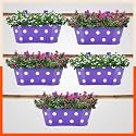 Bathla Patio ARA Hanging Metal Pot Holders/Planters for Home/Balcony/Garden | Corrosion Resistant with Detachable Double Hooks | Set of 5 - Purple