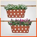Bathla Patio ARA Hanging Metal Pot Holders/Planters for Home/Balcony/Garden |Corrosion Resistant with Detachable Double Hooks | Terra - Set of 2