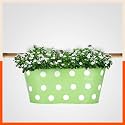 Bathla Patio ARA Hanging Metal Pot Holders/Planters for Balcony/Garden |Corrosion Resistant with Detachable Double Hooks | Grass, Standard (PHP-OP-311514GS)