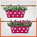 Bathla Patio ARA Hanging Metal Pot Holders/Planters for Home/Balcony/Garden | Corrosion Resistant with Detachable Double Hooks | Set of 2 - Pink