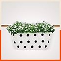Bathla Patio ARA Hanging Metal Pot Holders/Planters for Balcony/Garden |Corrosion Resistant with Detachable Double Hooks | White, Standard (PHP-OP-311514WE)