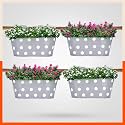 Bathla Patio ARA Hanging Metal Pot Holders/Planters for Balcony/Garden |Corrosion Resistant with Detachable Double Hooks | Ash - Set of 4, Standard (PHP-OP-311514AH-S4)