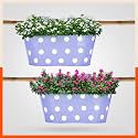 Bathla Patio ARA Hanging Metal Pot Holders/Planters for Balcony/Garden |Corrosion Resistant with Detachable Double Hooks | Lavender - Set of 2, Standard (PHP-OP-311514LR-S2)