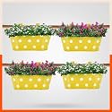 Bathla Patio ARA Hanging Metal Pot Holders/Planters for Home/Balcony/Garden | Corrosion Resistant with Detachable Double Hooks | Set of 4 - Yellow