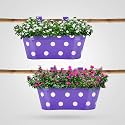 Bathla Patio ARA Hanging Metal Pot Holders/Planters for Home/Balcony/Garden | Corrosion Resistant with Detachable Double Hooks | Set of 2 - Purple