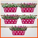 Patio by Bathla - ARA Hanging Metal Pot Holders for Balcony/Garden | Corrosion Resistant with Detachable Double Hooks | Set of 5 - Pink