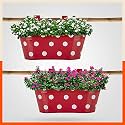 Patio by Bathla - ARA Hanging Metal Pot Holders for Balcony/Garden | Corrosion Resistant with Detachable Double Hooks | Set of 2 - Red