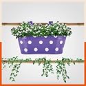 Bathla Patio ARA Hanging Metal Pot Holders/Planters for Home/Balcony/Garden | Corrosion Resistant with Detachable Double Hooks | Purple