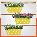 Patio by Bathla - ARA Hanging Metal Pot Holders for Balcony/Garden | Corrosion Resistant with Detachable Double Hooks | Set of 3 - Yellow