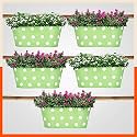 Bathla Patio ARA Hanging Metal Pot Holders/Planters for Home/Balcony/Garden |Corrosion Resistant with Detachable Double Hooks | Grass - Set of 5