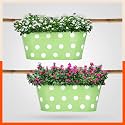 Patio by Bathla - ARA Hanging Metal Pot Holders/Planters for Balcony/Garden |Corrosion Resistant with Detachable Double Hooks | Grass - Set of 2 (Model Number: PHP-OP-311514GS-S2)