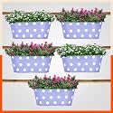 Bathla Patio ARA Hanging Metal Pot Holders/Planters for Home/Balcony/Garden |Corrosion Resistant with Detachable Double Hooks | Lavender - Set of 5