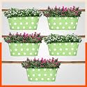 Bathla Patio ARA Hanging Metal Pot Holders/Planters for Home/Balcony/Garden |Corrosion Resistant with Detachable Double Hooks | Grass - Set of 5