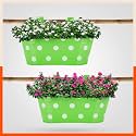 Bathla Patio ARA Hanging Metal Pot Holders/Planters for Home/Balcony/Garden | Corrosion Resistant with Detachable Double Hooks | Set of 2 - Green