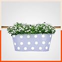 Bathla Patio ARA Hanging Metal Pot Holders/Planters for Balcony/Garden |Corrosion Resistant with Detachable Double Hooks | Baby Blue, Standard (PHP-OP-311514BB)