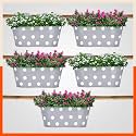 Bathla Patio ARA Hanging Metal Pot Holders/Planters for Home/Balcony/Garden |Corrosion Resistant with Detachable Double Hooks | Ash - Set of 5