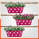 Bathla Patio ARA Hanging Metal Pot Holders/Planters for Home/Balcony/Garden | Corrosion Resistant with Detachable Double Hooks | Set of 3 - Pink