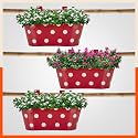 Bathla Patio ARA Hanging Metal Pot Holders/Planters for Home/Balcony/Garden | Corrosion Resistant with Detachable Double Hooks | Set of 3 - Red
