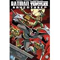 Batman/Teenage Mutant Ninja Turtles Adventures