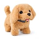 Battery Operated Walking Dog Toy for Kids