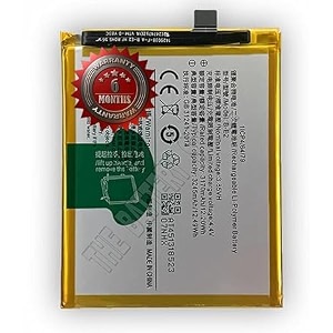 THE BATTERY STORE Original B-E2 Battery for