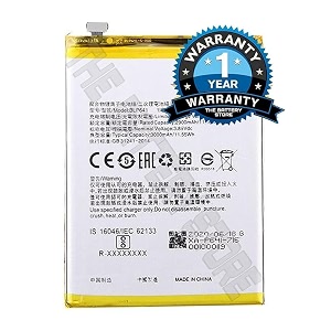 THE BATTERY STORE Original BLP641 Battery for