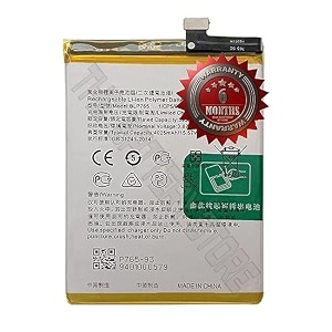 THE BATTERY STORE Original BLP765 Battery for