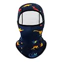 BAVST Toddler Boys Winter Balaclava Hat Windproof Kids Warm Ski Full Face Cover Baby Girls Cold Weather Snow Hat