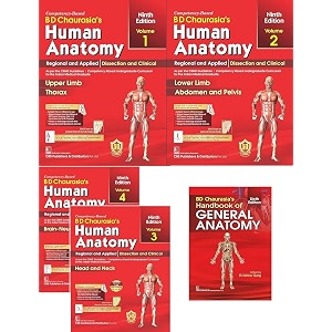 bd chaurasia39s human anatomy vol 1234 edition 9 by krihna garg s