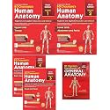 BD Chaurasia's Human Anatomy Vol 1,2,3,4 Edition 9 By Krihna Garg (S)