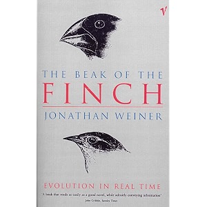 the beak of the finch